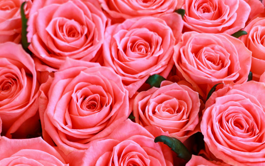 1544298 (a): :2560x1600